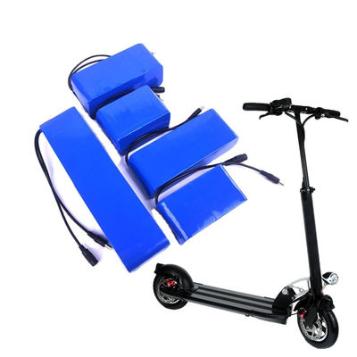 qualità  24V 8Ah Fast Charging Lithium Battery Pack For Electric Bike Electric Scooters fabbrica